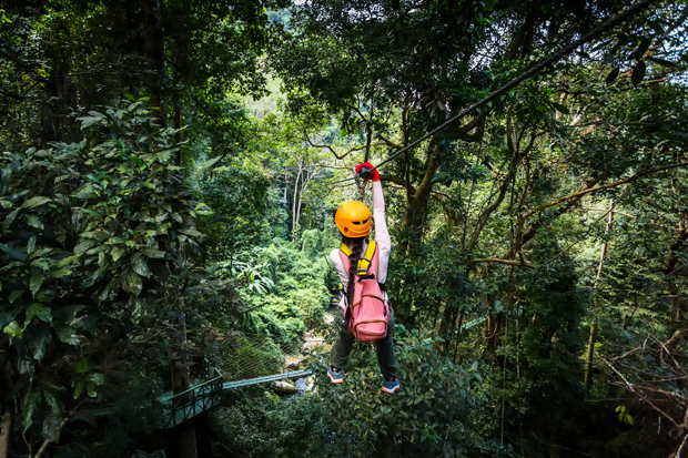 A person wearing a yellow helmet and pink backpack is zip-lining above a lush, dense forest. They grip the cable handle, surrounded by tall green trees.