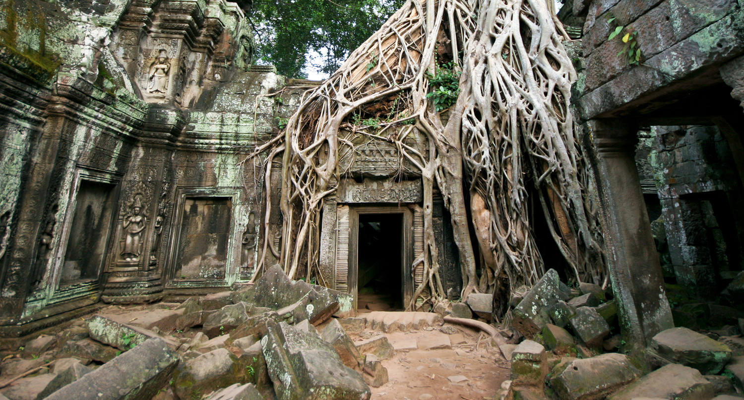 Ancient stone temple entangled with sprawling tree roots, partially obscured carvings along the walls. Scattered moss-covered stones lie around, all set within a dense jungle environment.