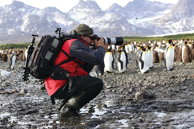 A photographer, wearing outdoor gear and carrying a backpack, crouches while taking photos of a large group of penguins on rocky terrain with snowy mountains in the background.