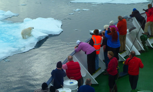 People on a ship observe a polar bear on a nearby ice floe. The ship's deck features a green surface, while the polar bear stands on the white ice surrounded by water.