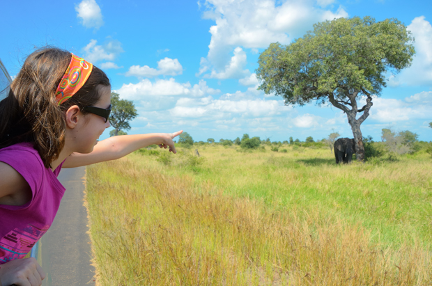 A child wearing sunglasses leans out of a vehicle window, pointing at an elephant near a tree in a grassy savanna under a partly cloudy sky.