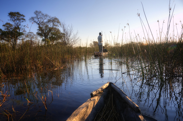 A narrow canoe glides through a marsh, steered by a standing person with a pole. Tall grasses surround the waterway under a clear blue sky.