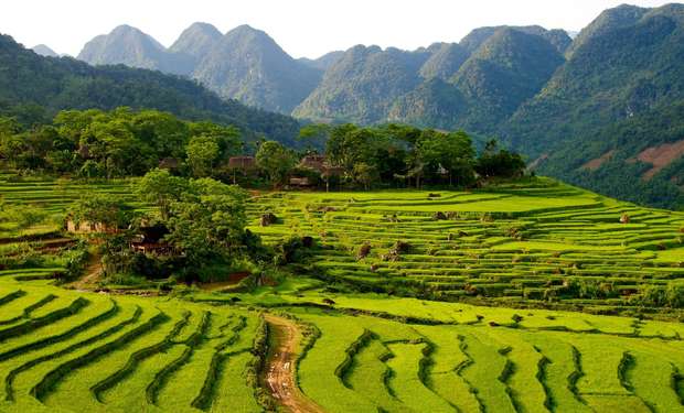 Terraced rice fields curve across a lush, green hillside, with scattered trees and small huts. In the background, a mountain range provides a dramatic, natural backdrop under a clear sky.