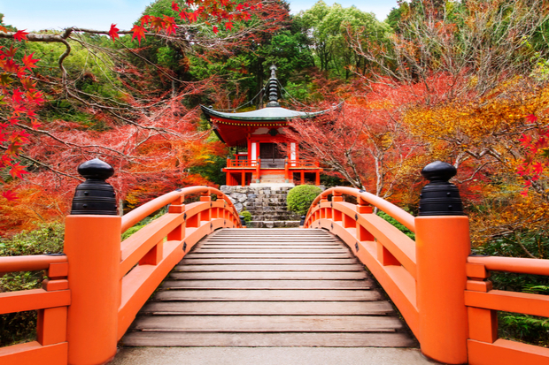An arched red wooden bridge leads to a traditional pagoda, surrounded by vibrant autumn foliage in a serene garden setting.