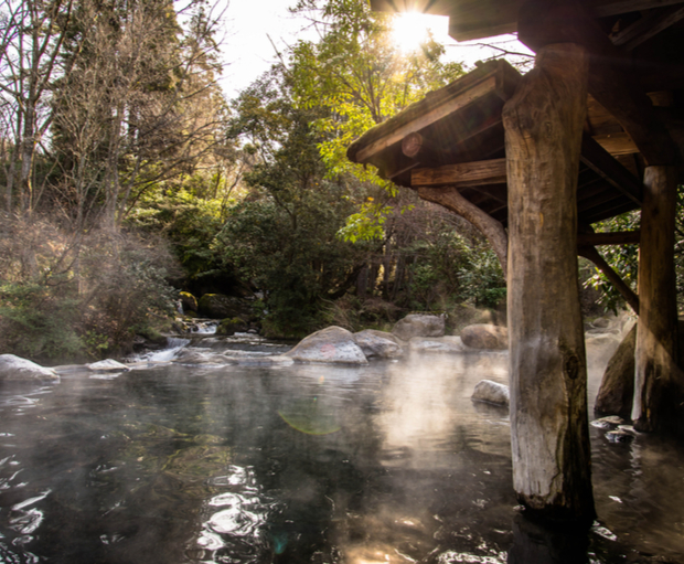 Steam rises from a tranquil hot spring, surrounded by trees and rocks. Wooden posts support a rustic shelter. Sunlight filters through foliage, creating a serene natural atmosphere.