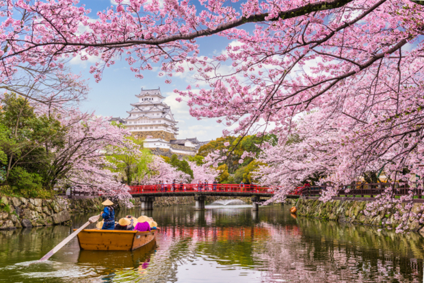 https://explore-live.s3.eu-west-1.amazonaws.com/medialibraries/explore/blog-images/2019%2008%20august/japan%20country%20spotlight/shutterstock_776445706.jpg?ext=.jpg&format=webp&quality=80&v=201907171032&width=620