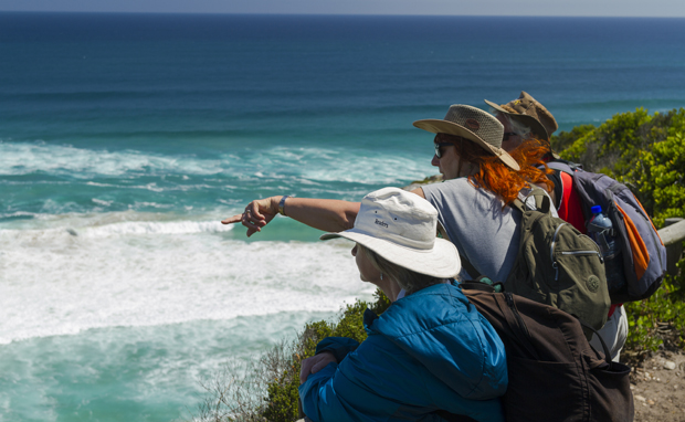 Three people wearing hats and backpacks are standing on a cliff, one pointing toward the ocean waves below, surrounded by lush greenery and a clear blue sky.