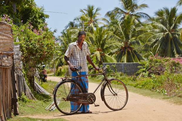 A man stands with a bicycle on a dirt path, surrounded by lush greenery and palm trees, with woven fences lining one side and a bright blue sky above.