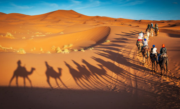 A group of camels carrying riders traverses a sunlit desert, casting long shadows on the sand dunes amidst a clear blue sky backdrop.