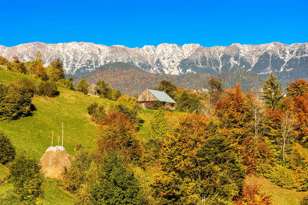 A wooden cabin sits on a grassy hill surrounded by colorful autumn trees, with snow-capped mountains in the background under a clear blue sky.