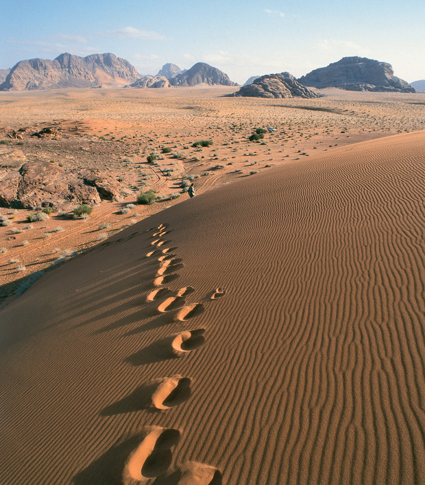 Footprints curve across a rippled sand dune, leading towards distant rock formations under a clear blue sky in a desert landscape dotted with sparse vegetation.