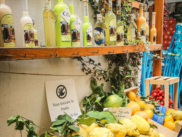 Bottles of colorful fruit liqueurs line a wooden shelf above a vibrant fruit display, nestled amidst leafy vines. Sign reads "Non toccare la frutta" and prices like "€15,00" are visible.