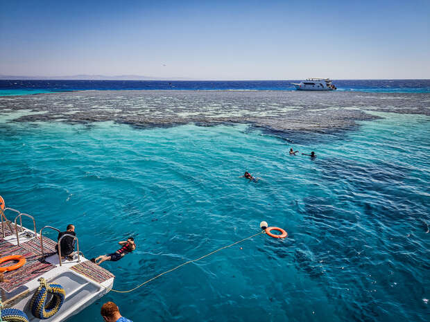 People swim in clear blue water near a boat platform. A large yacht floats in the distance, and a coral reef is visible beneath the surface, surrounded by open sea.