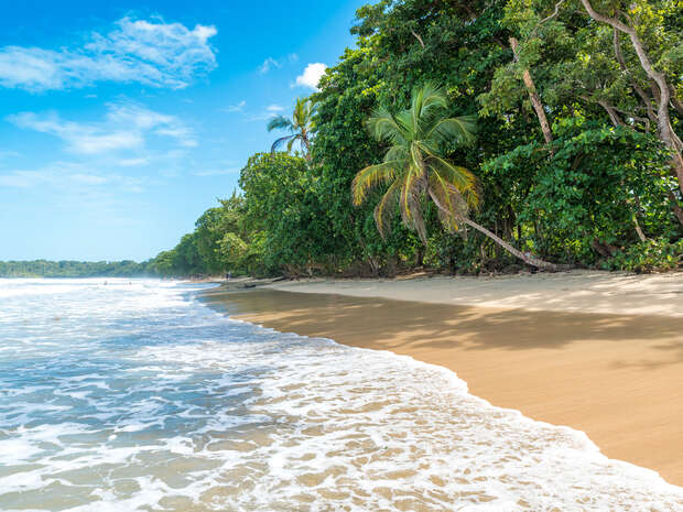 Waves gently wash onto a sandy beach lined with lush green trees and palm trees, under a bright blue sky with a few scattered clouds.