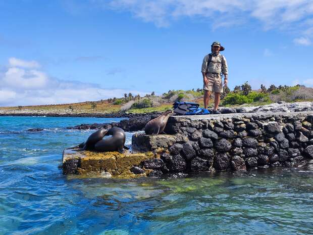 A man stands on a stone pier beside two sea lions resting; clear blue water surrounds them, and a rocky, vegetation-covered shoreline is visible in the background under a partly cloudy sky.
