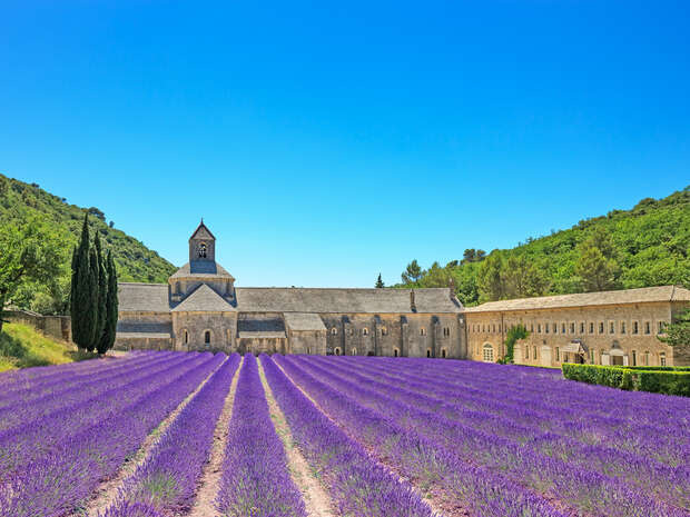 A historic stone abbey stands with rows of vibrant purple lavender in the foreground, surrounded by lush green hills under a clear blue sky.