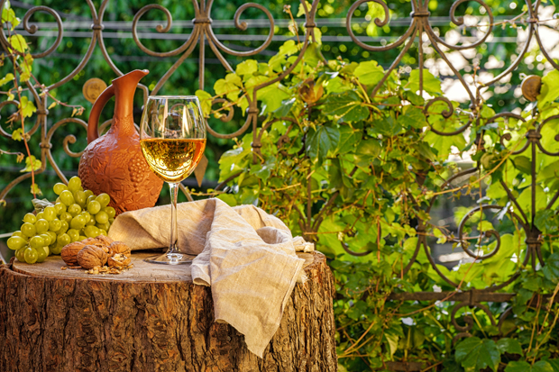 A glass of white wine and a clay jug sit on a wooden stump with grapes, walnuts, and a cloth, surrounded by leafy vines and ornate metal fencing in a lush garden setting.