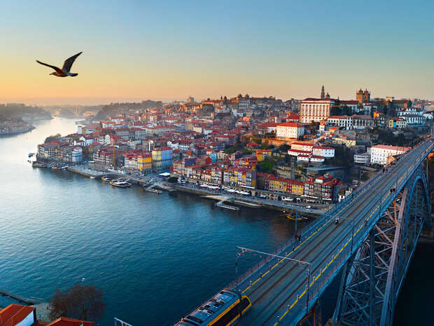 A bird soars over a cityscape with colorful buildings along a river, adjacent to a large bridge carrying a train, set against a clear, expansive sky at sunset.