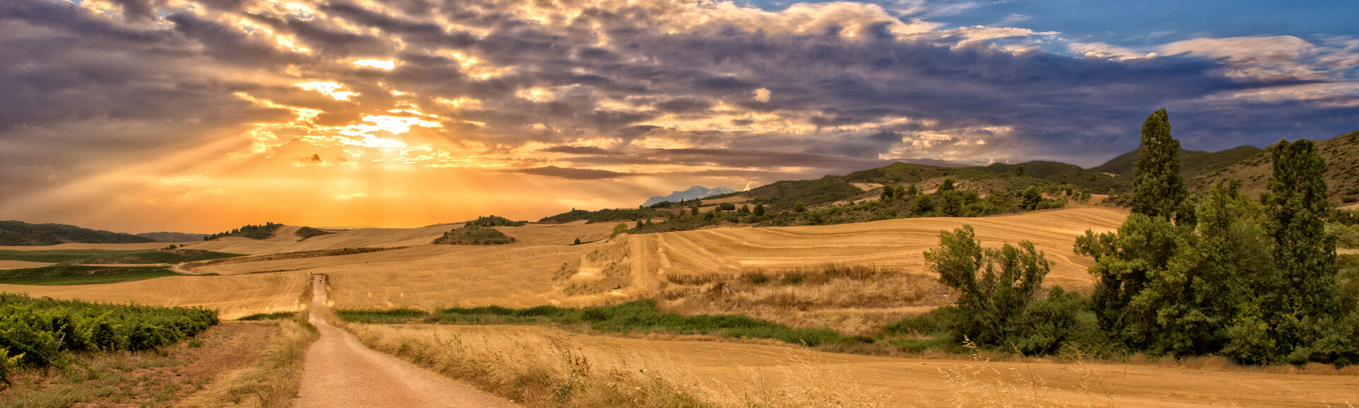 Pathway stretches through golden fields under a dramatic sunset, with sun rays filtering through clouds, surrounded by rolling hills and clusters of trees.