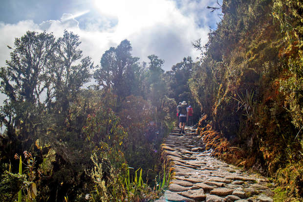 Hikers walk along a stone pathway surrounded by dense forest foliage, with sunlight filtering through tree branches and clouds in the sky above, creating a serene, natural setting.