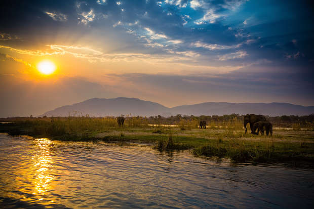 Elephants grazing peacefully on grassy terrain near a reflective river, with a stunning sunset casting golden hues across the sky and distant mountains providing a serene backdrop.