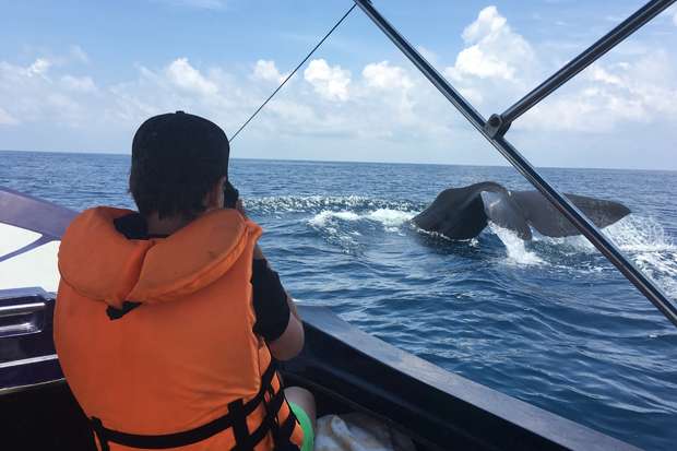 Person photographing a whale tail as it dives into the ocean; the person wears an orange life jacket aboard a small boat under a partly cloudy sky.