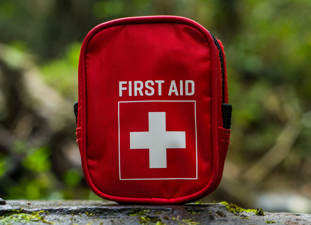 A red first aid kit displaying a white cross and "FIRST AID" label stands on a mossy rock, set against a blurred, green outdoor background.