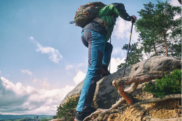 A hiker, wearing a backpack and holding a trekking pole, ascends a rocky terrain with tree roots under a partly cloudy sky. Lush greenery surrounds the area.