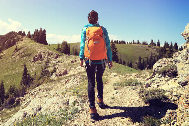 A person with an orange backpack walks along a rocky trail amidst grassy hills and scattered evergreens under a clear blue sky, suggesting a mountainous hiking adventure.