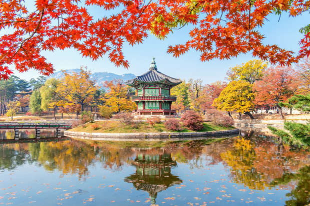A traditional pagoda stands on a small island, reflected in a calm pond. Surrounding autumn foliage with vibrant orange and yellow hues enhances the serene, picturesque landscape.