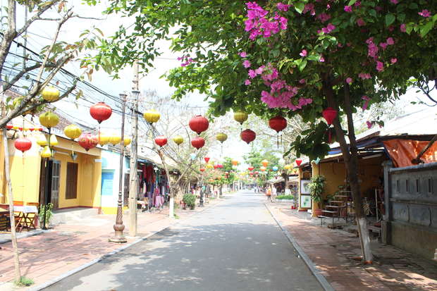 Colorful lanterns hang above a quiet street lined with shops and trees. Vibrant pink flowers bloom overhead, and the scene is illuminated by daylight in a charming urban setting.