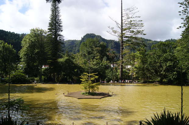 A small island with a tree stands in the center of a brownish pond, surrounded by lush green trees and distant hills under a partly cloudy sky.
