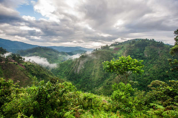 Lush green hills stretch across the landscape, with a lone tree in the foreground. Mist swirls around the slopes, under a sky filled with clouds, creating a serene atmosphere.