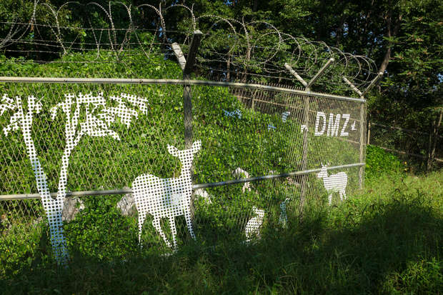 A chain-link fence with metal silhouettes of a tree and deer stands in a forested area. Barbed wire tops the fence, which includes the text "- DMZ -".