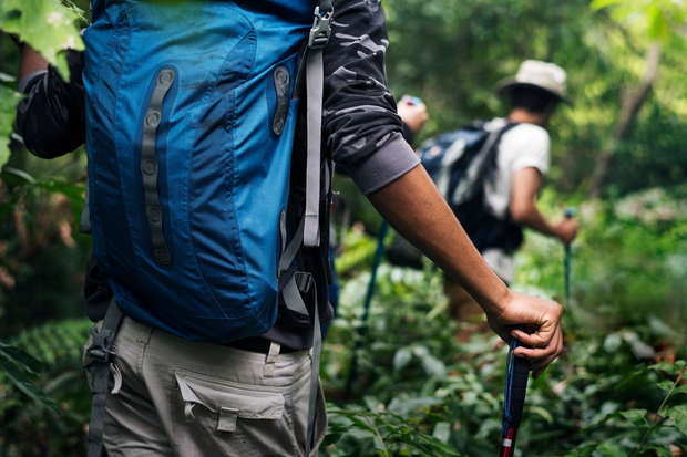 A blue backpack is worn by a person hiking through dense greenery, gripping a walking stick, while another hiker with a hat follows closely behind.
