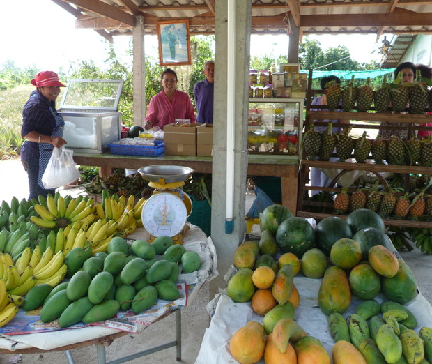 Bananas, mangoes, and papayas are displayed on tables at a fruit stand, surrounded by shelves of pineapples. Three people stand behind a counter with baskets and products, under a wooden shelter.