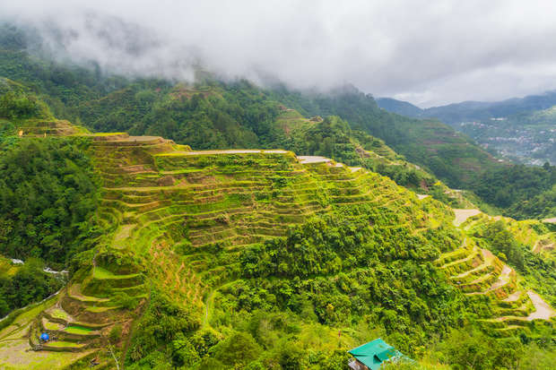Terraced rice paddies cascade down a green mountainside, lined with lush vegetation. Mist shrouds the distant peaks, creating a serene and tranquil rural landscape.