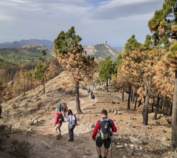 Hikers traverse a rocky path through a sparse pine forest, surrounded by mountainous terrain under a cloudy sky, with the silhouette of distant peaks visible on the horizon.