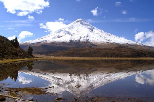 Snow-capped volcano reflected in a tranquil lake, surrounded by a grassy landscape with a clear blue sky above and a few scattered clouds.