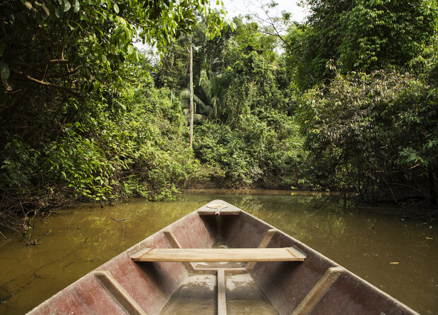 A wooden canoe glides through a narrow, muddy river, surrounded by dense, lush green rainforest with tall trees and thick foliage creating a serene, natural environment.