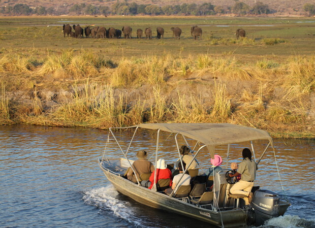 A small boat with six people moves across a river. In the background, numerous elephants stand on a grassy plain near the water's edge, under a clear sky.