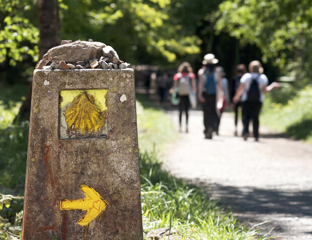 Stone marker with a yellow scallop shell and arrow points along a forest path. Pebbles rest on top. A group of people walks away in the background.