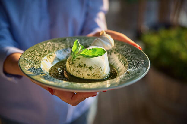 A green plate holds a ball of burrata cheese topped with basil leaves and pesto. A person with visible hands presents it, with a blurred background.