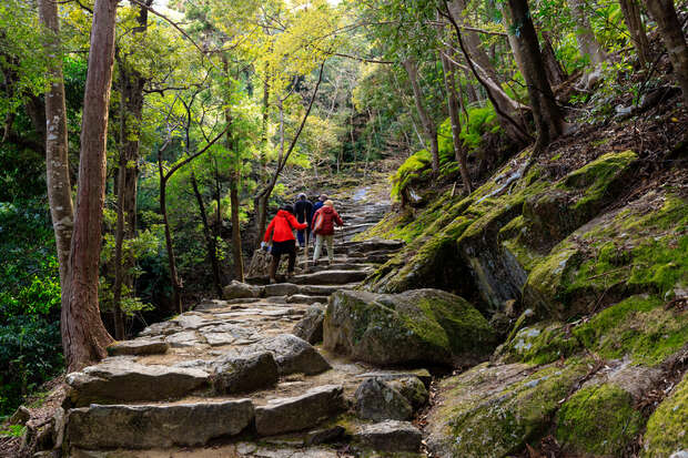 Hikers ascend a stone path surrounded by lush forest, with towering trees and moss-covered rocks creating a serene, natural atmosphere.