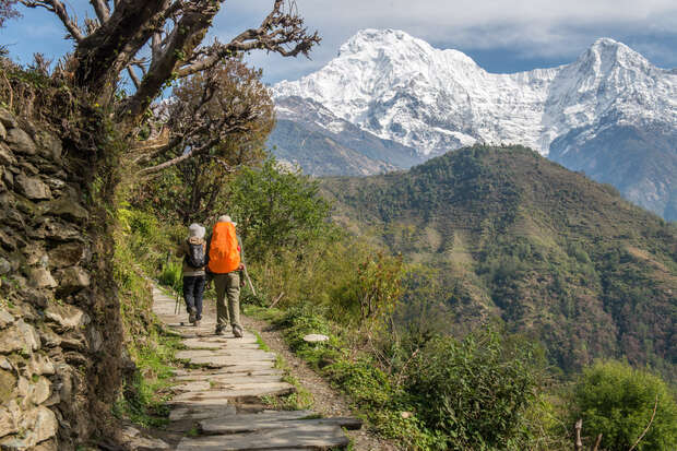 Two hikers walk along a stone path, surrounded by trees and shrubs, with snow-capped mountains in the background under a clear sky.