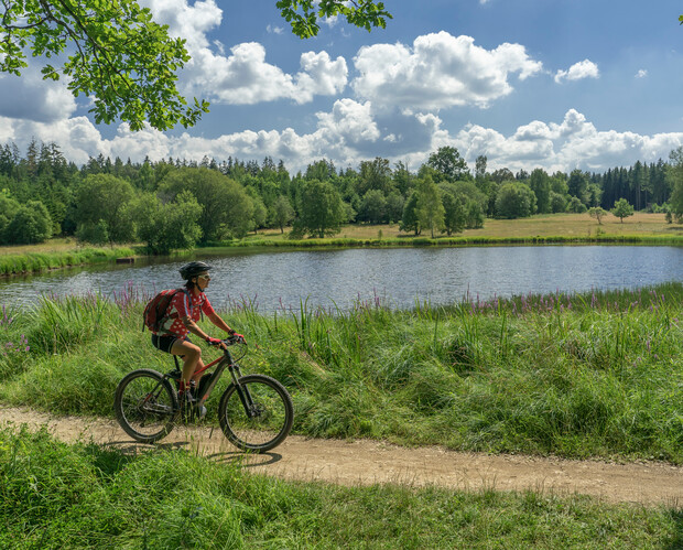 A cyclist rides along a dirt path beside a tranquil lake, surrounded by lush greenery and under a sky filled with fluffy clouds.