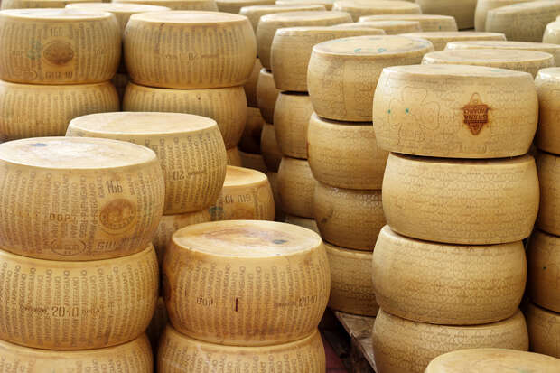 Large wheels of cheese are stacked in tall piles, with embossed text and stamps visible on their surfaces, in a storage or aging facility.