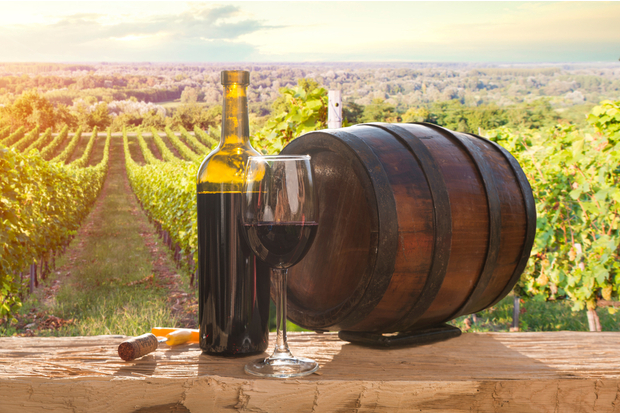 A bottle and glass of red wine sit on a wooden table next to a barrel, overlooking a sunlit vineyard with rows of grapevines stretching into the distance.