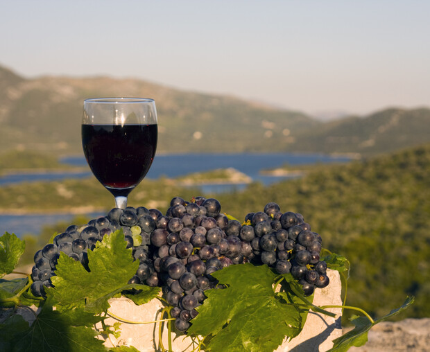 A glass of red wine sits on a stone surface with clusters of dark grapes, surrounded by lush green leaves, overlooking a scenic landscape of hills and distant water.