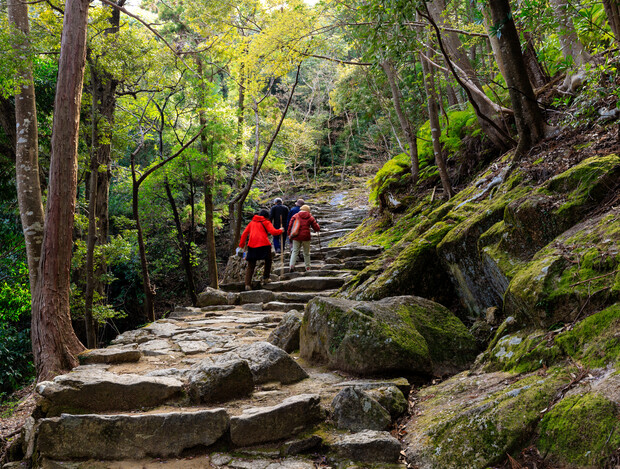 Hikers wearing colorful jackets ascend a rocky, stone staircase in a lush forest with tall trees and moss-covered rocks.